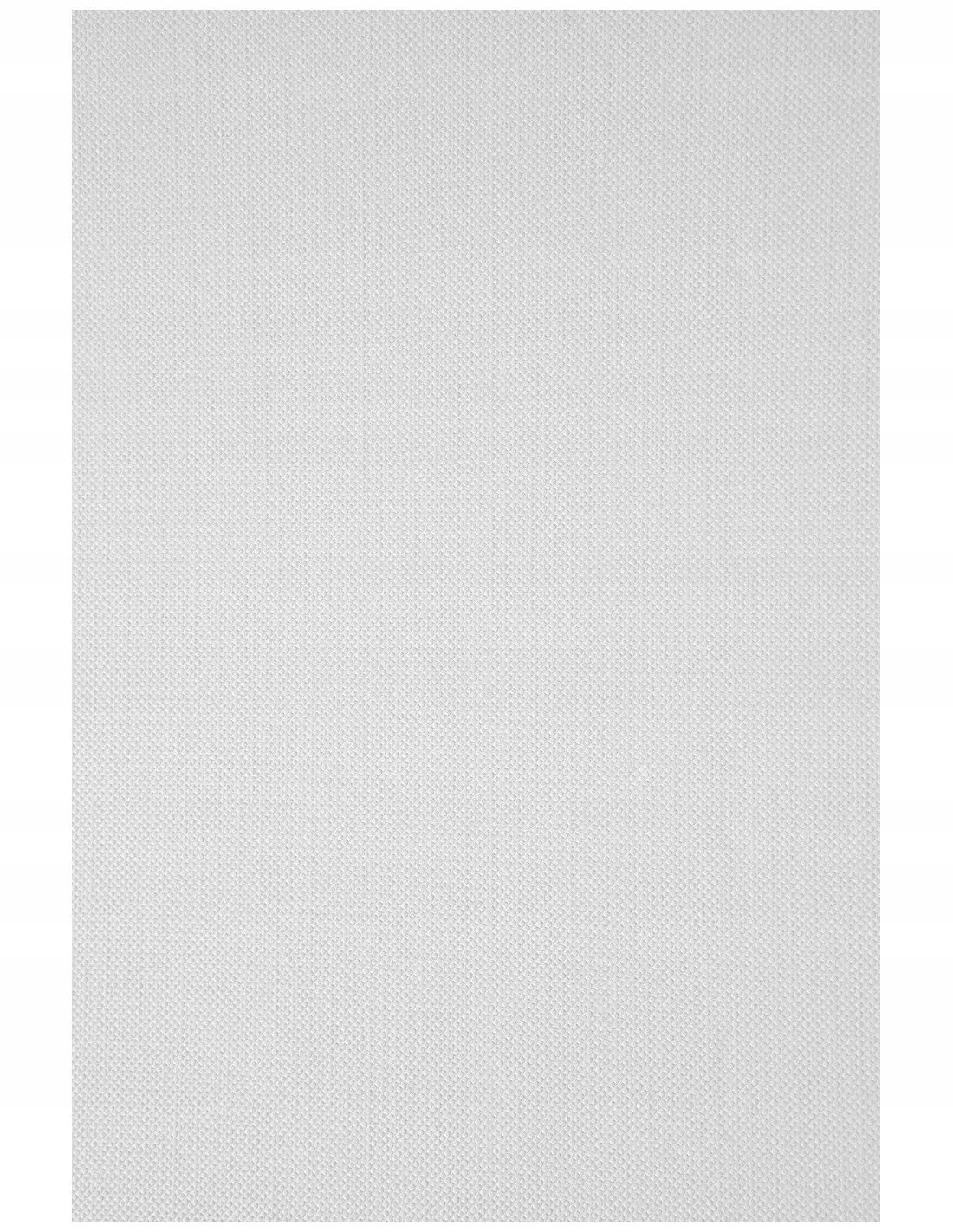 

Papier ozdobny wizytówkowy 246g Ryps biały 20A5