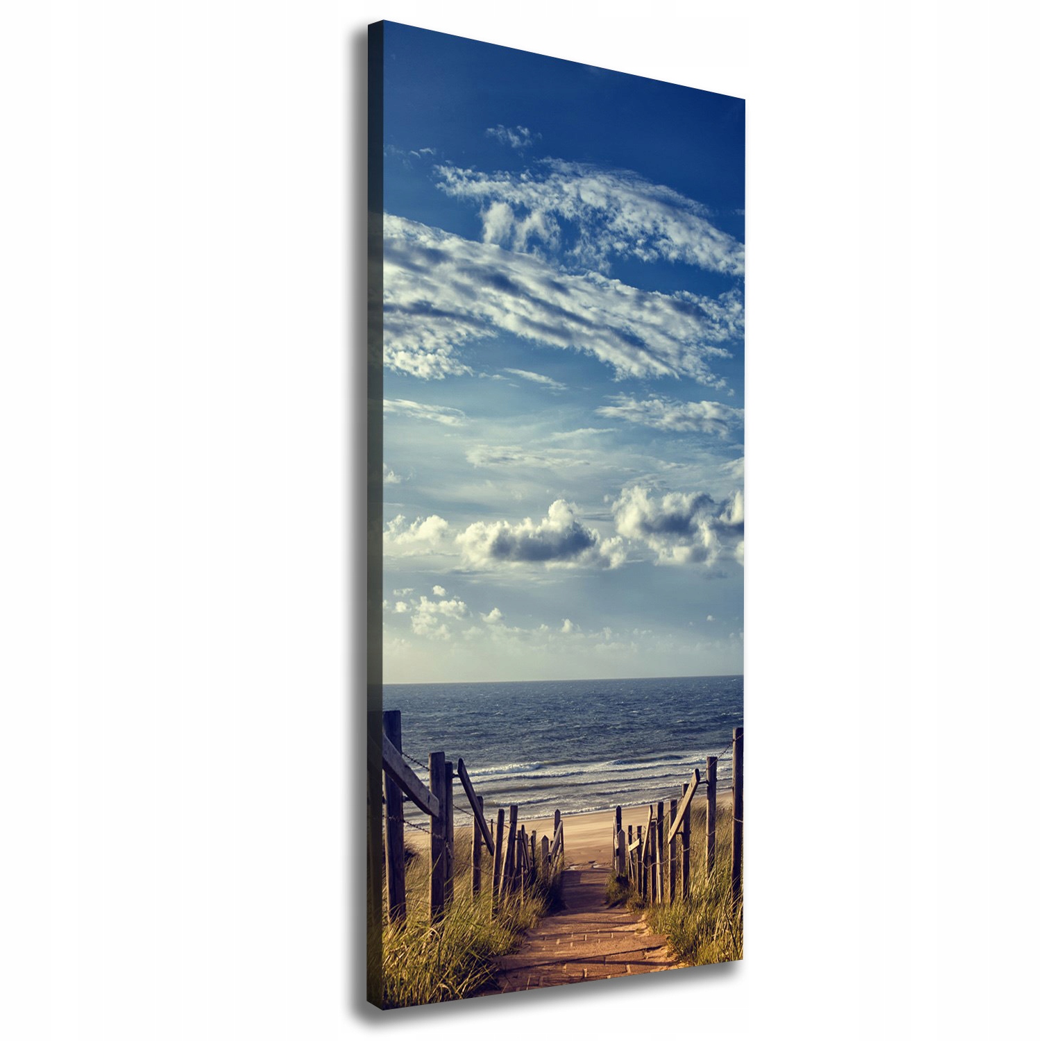 

Foto obraz na płótnie Ścieżka na plażę 50x125 cm
