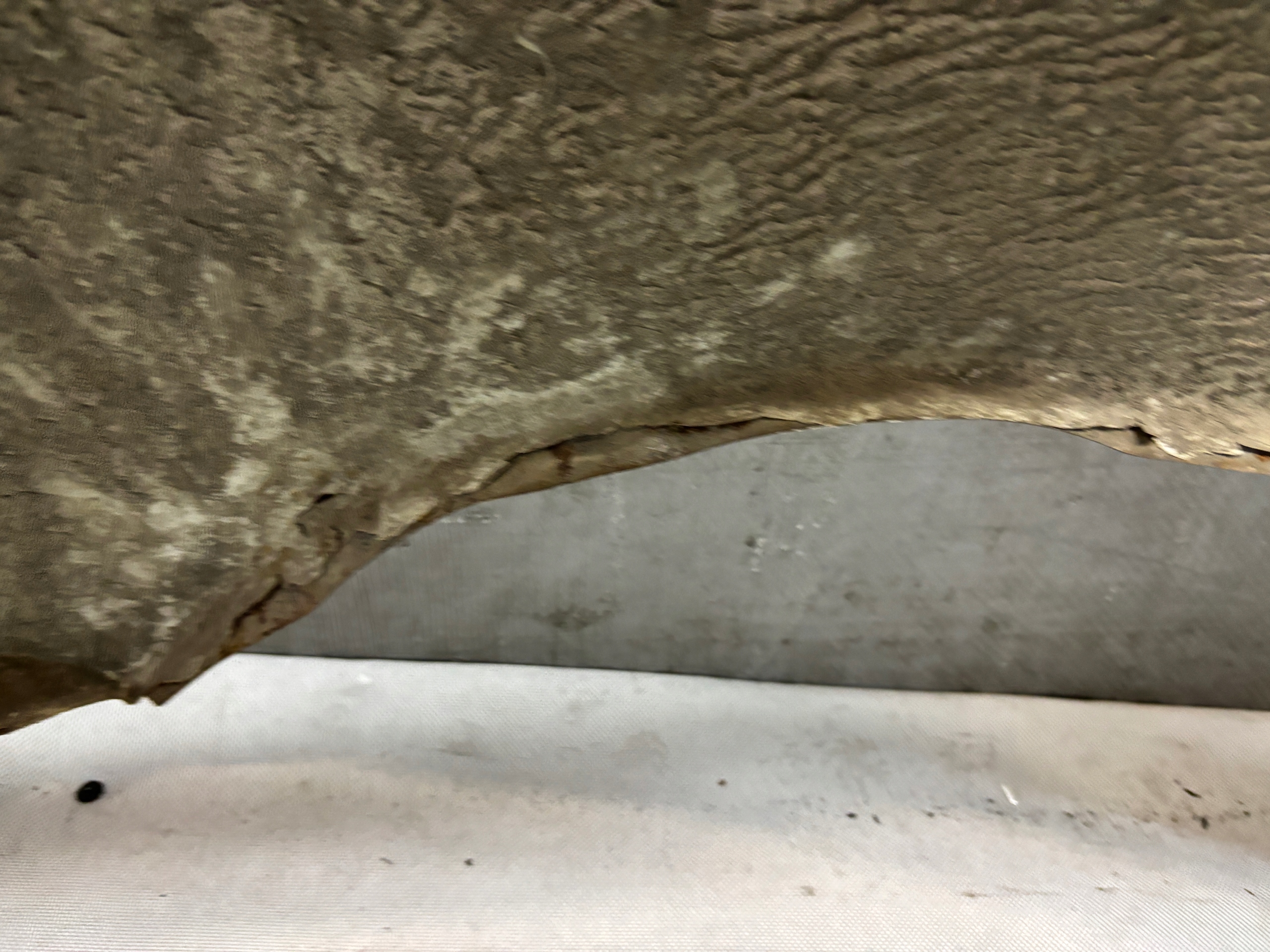 fender right front Fiat Seicento k: 249/F