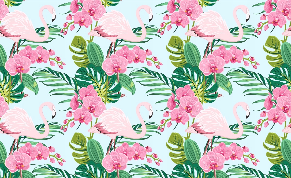 

Fototapeta Flizelinowa Orchidea Kwiat 416x254
