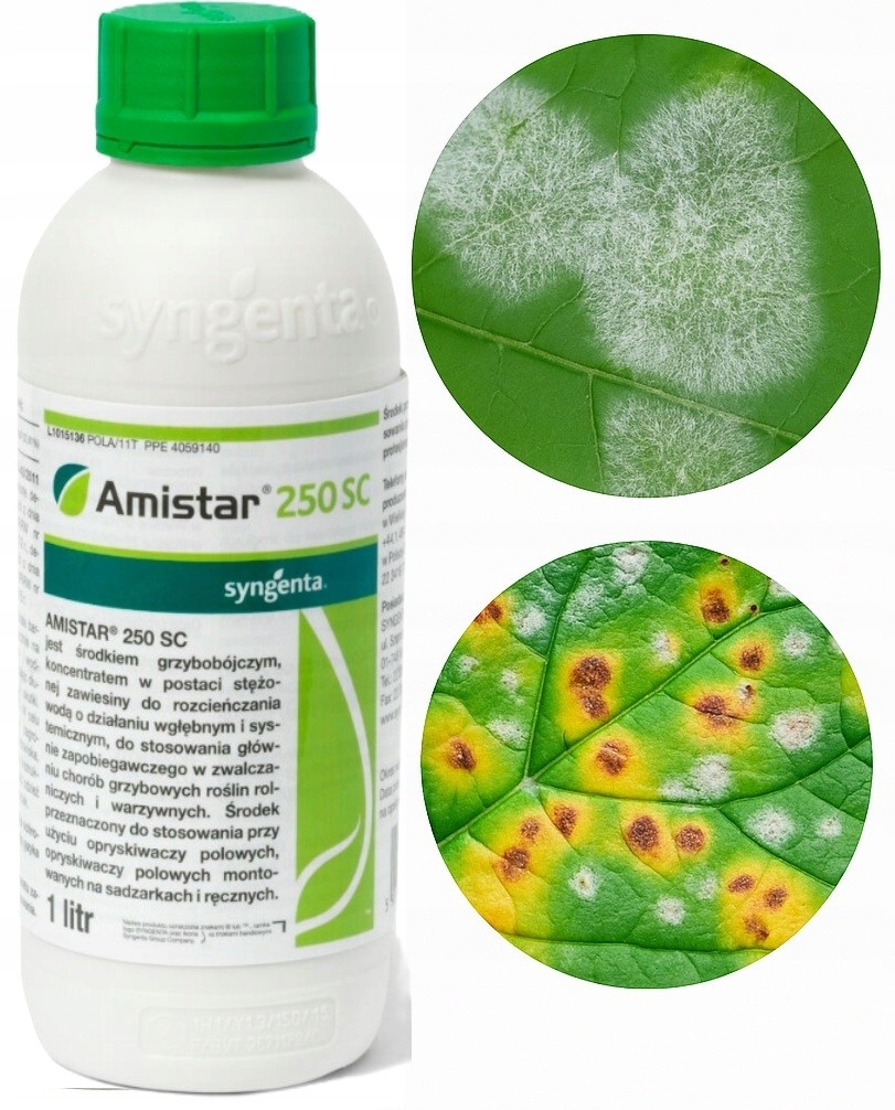 Amistar 250SC 1L Syngenta grzybobójczy zboża warzywa rzepak