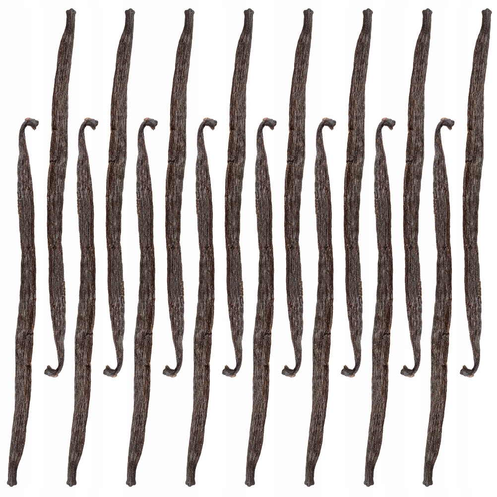 Levně Vanilková Laska 13-16 cm Vanilkové Lusky Madagaskar Kvalita 1 Kol-Pol 16 kusů