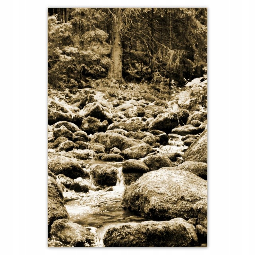 

Plakaty 40x60 Tatry Polskie góry Widok