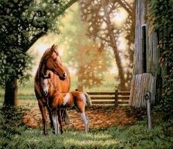 Křížková výšivka počítaná sada (kanva, mulina)