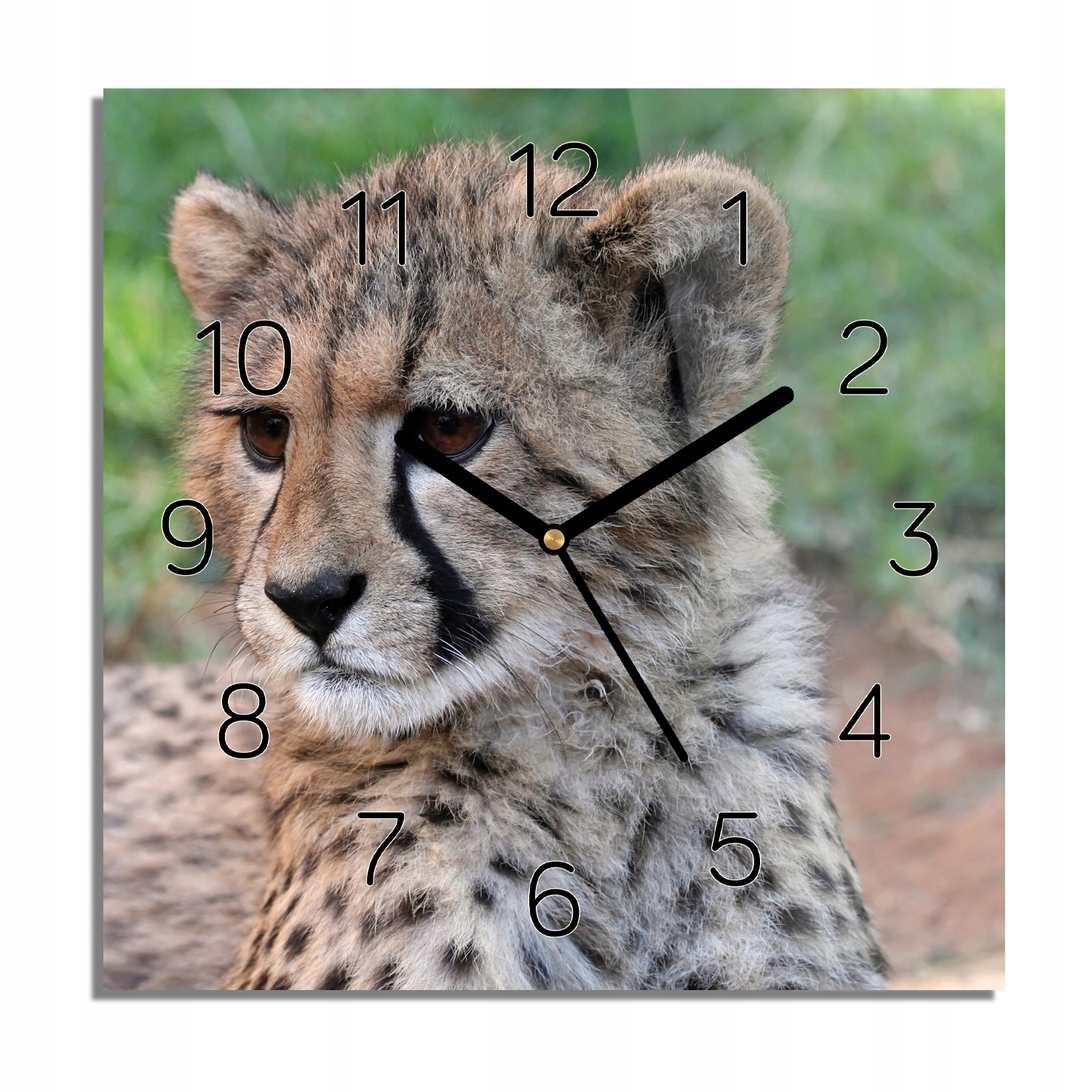

Malutki gepard foto-zegar czarne cyfry 30x30 cichy