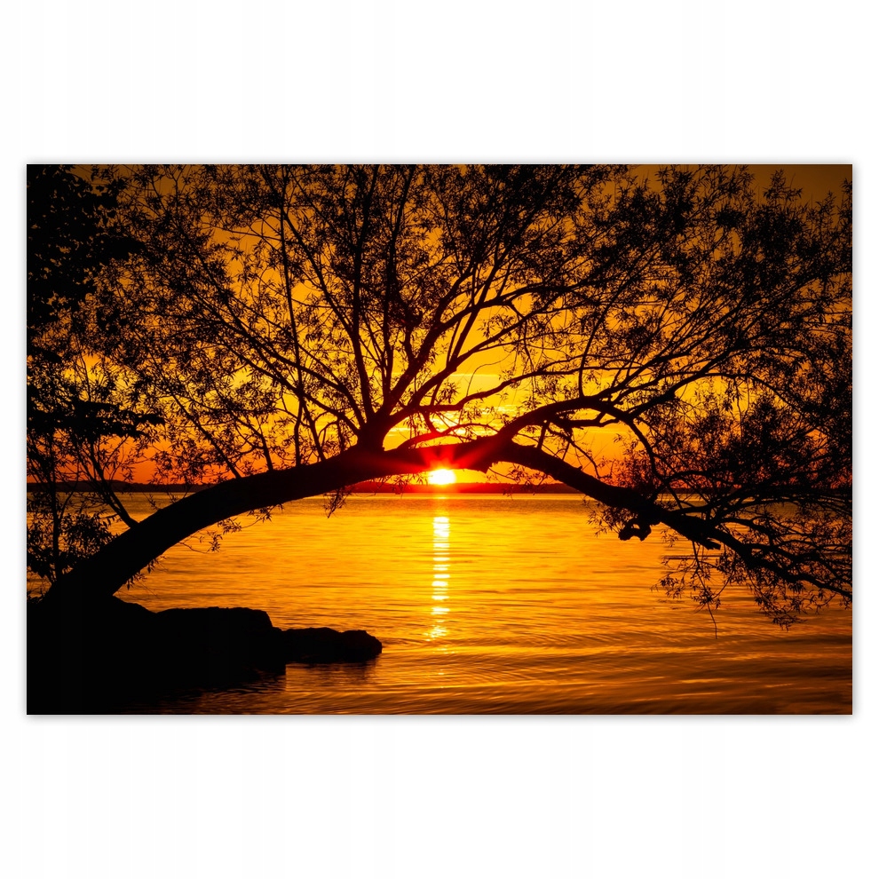 

Plakaty 93x62 Plaża Drzewo Morze