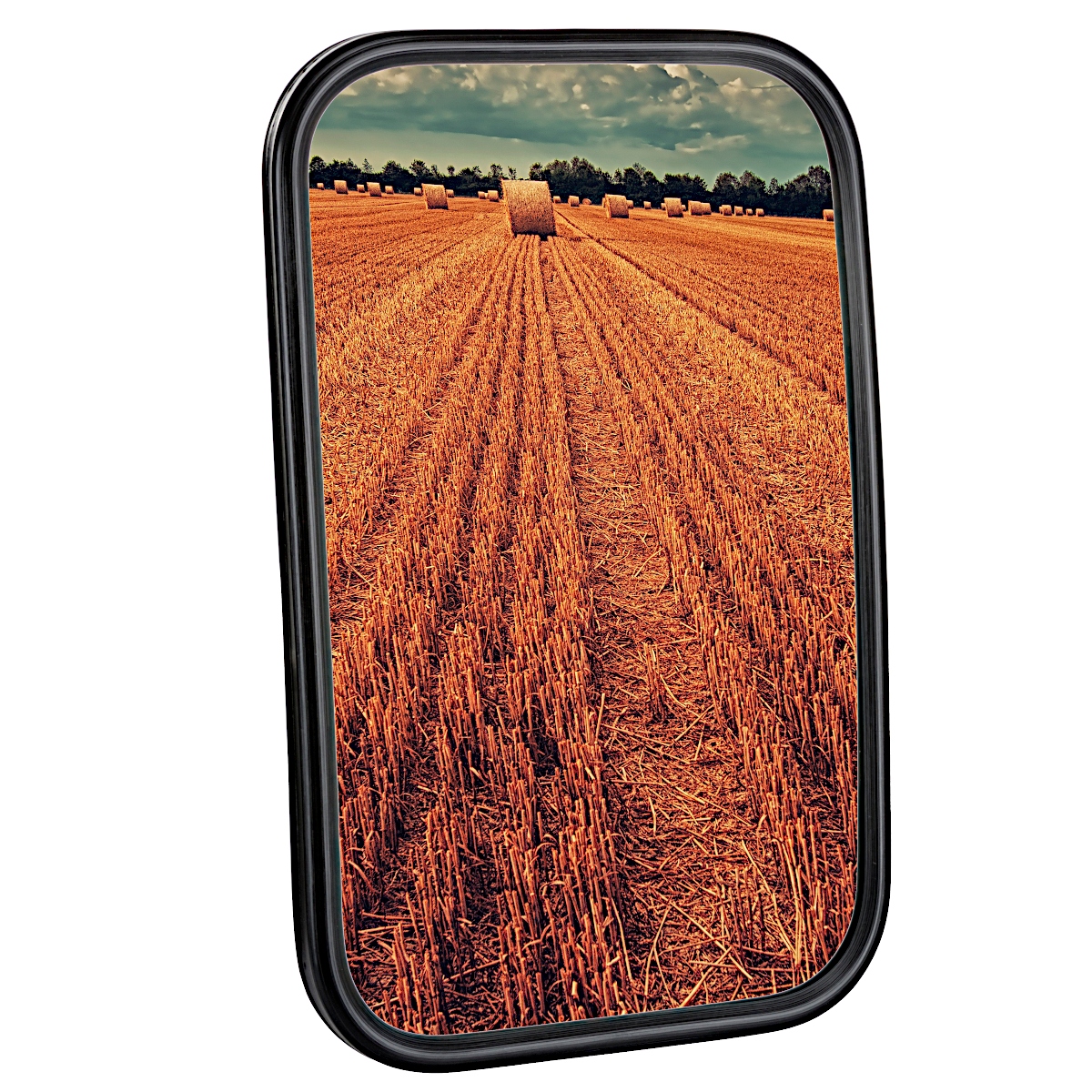 59324 - Дзеркало з підігрівом Zetor Forterra Proxima