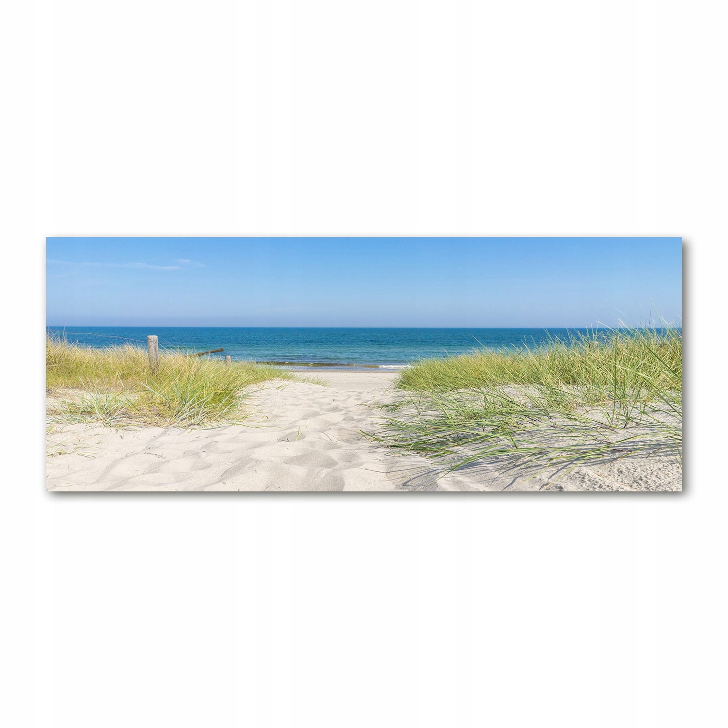 

Foto obraz szkło akryl Nadmorskie wydmy 125x50 cm