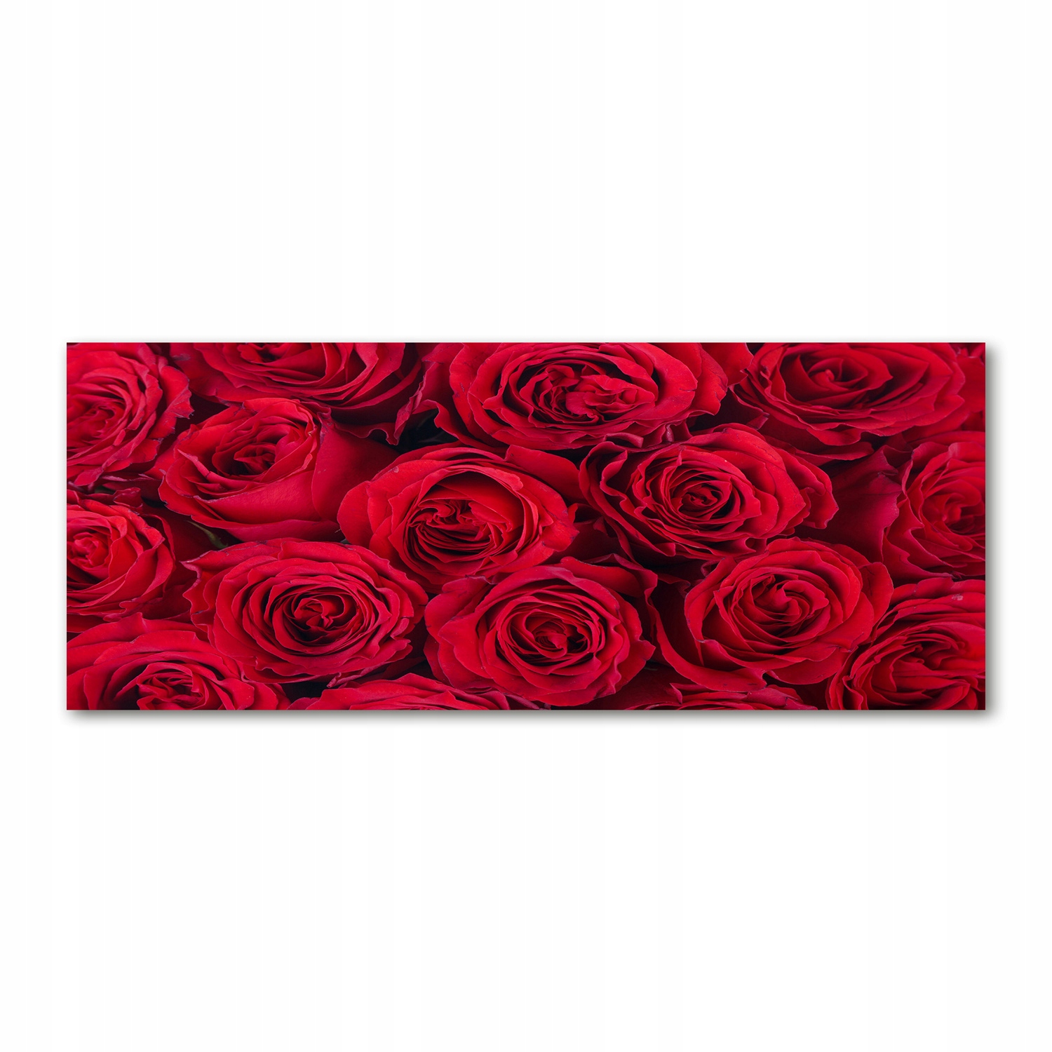

Foto-obraz akrylowy na ścianę dużyRóże 125x50 cm