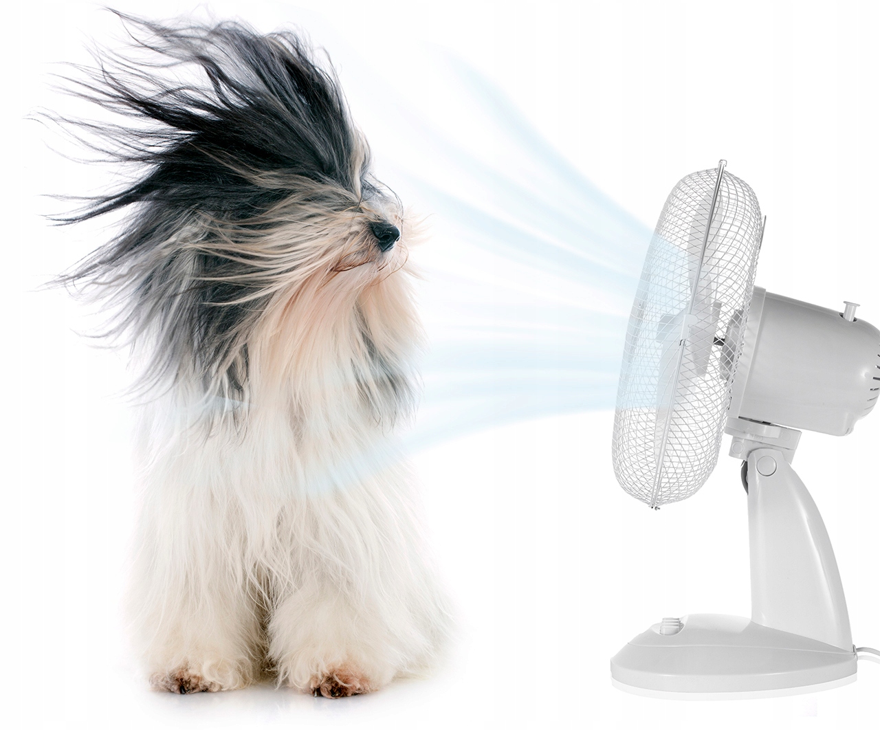 WENTYLATOR Biurkowy WIATRAK Stołowy CICHY MOCNY Kod producenta 107654