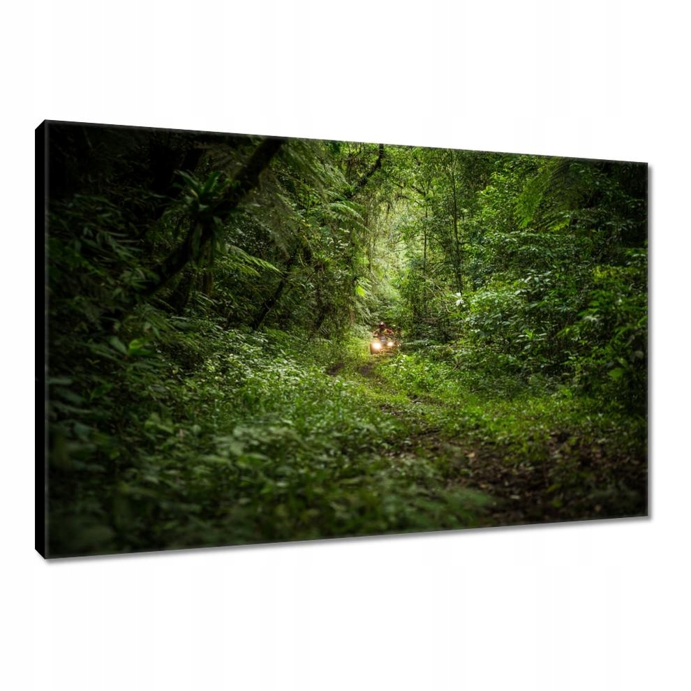 

Obrazy 120x80 Quad Cztery kółka Teren