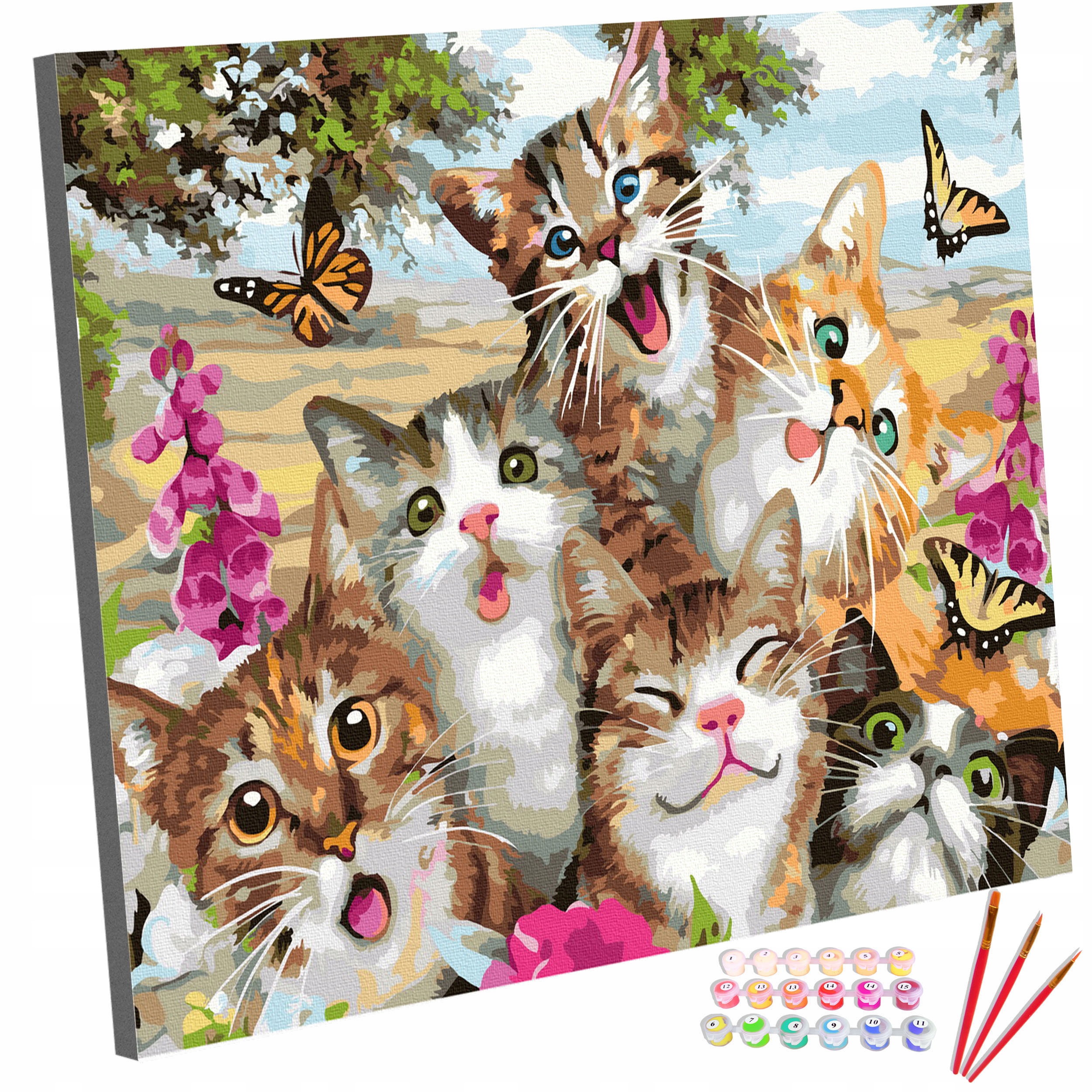 Sada Obraz na malování Malování Podle Čísel Na rámu Kočky 40x50 cm