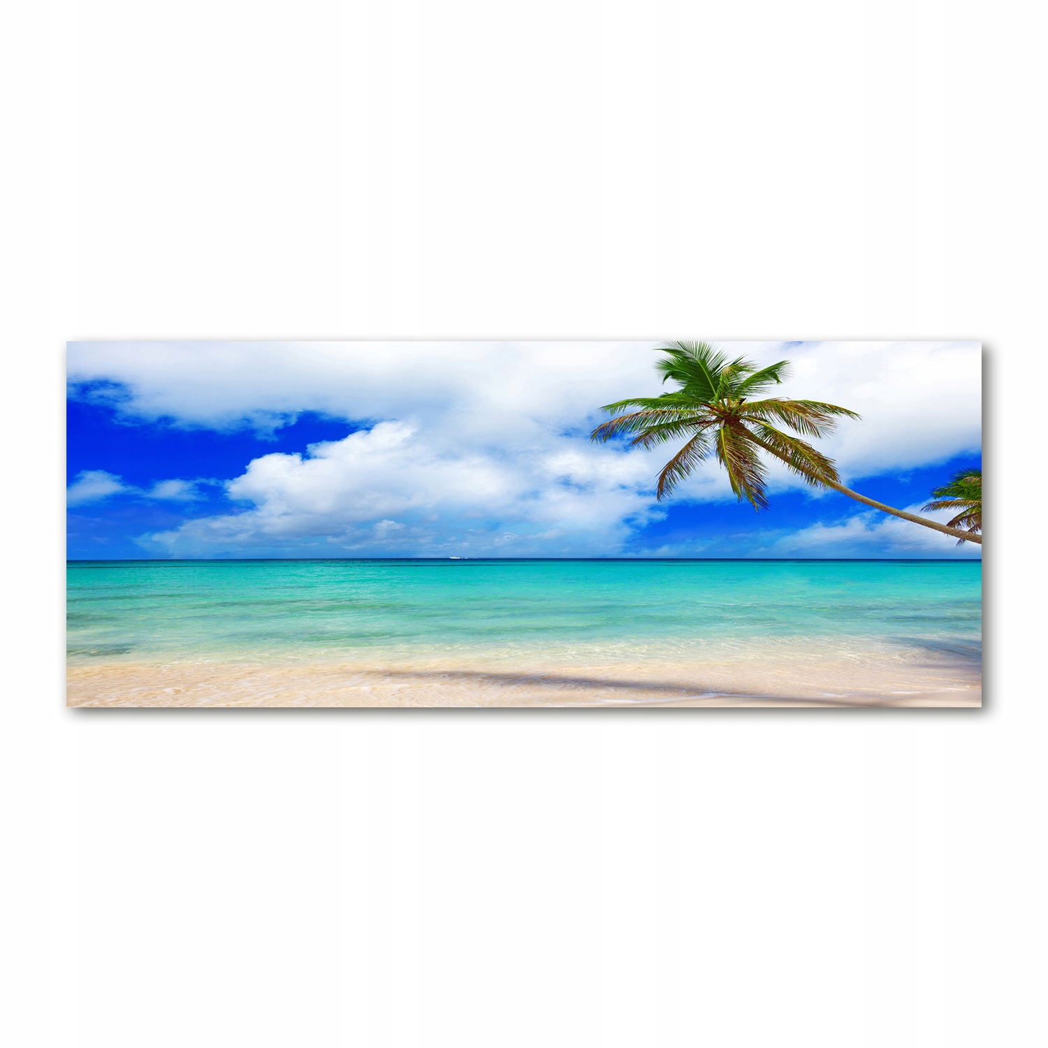 

Foto obraz akryl zdjęcie Karaiby plaża 125x50 cm