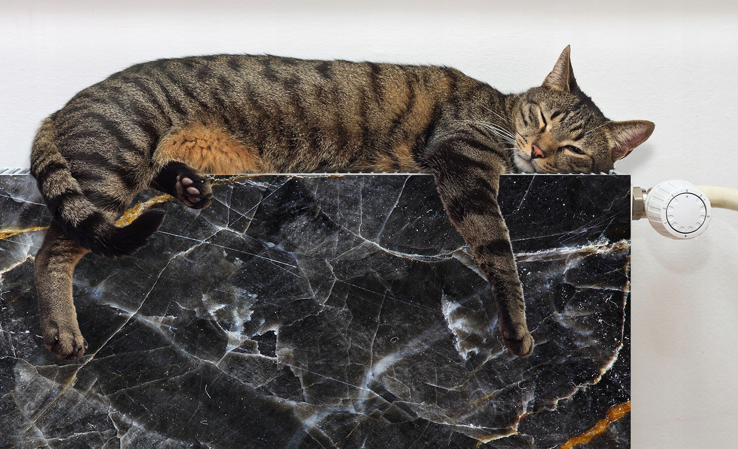 MAGNES MATA MAGNETYCZNA NA KALORYFER 120x60 MARMUR FOTOTAPETA Rodzaj produkt gotowy