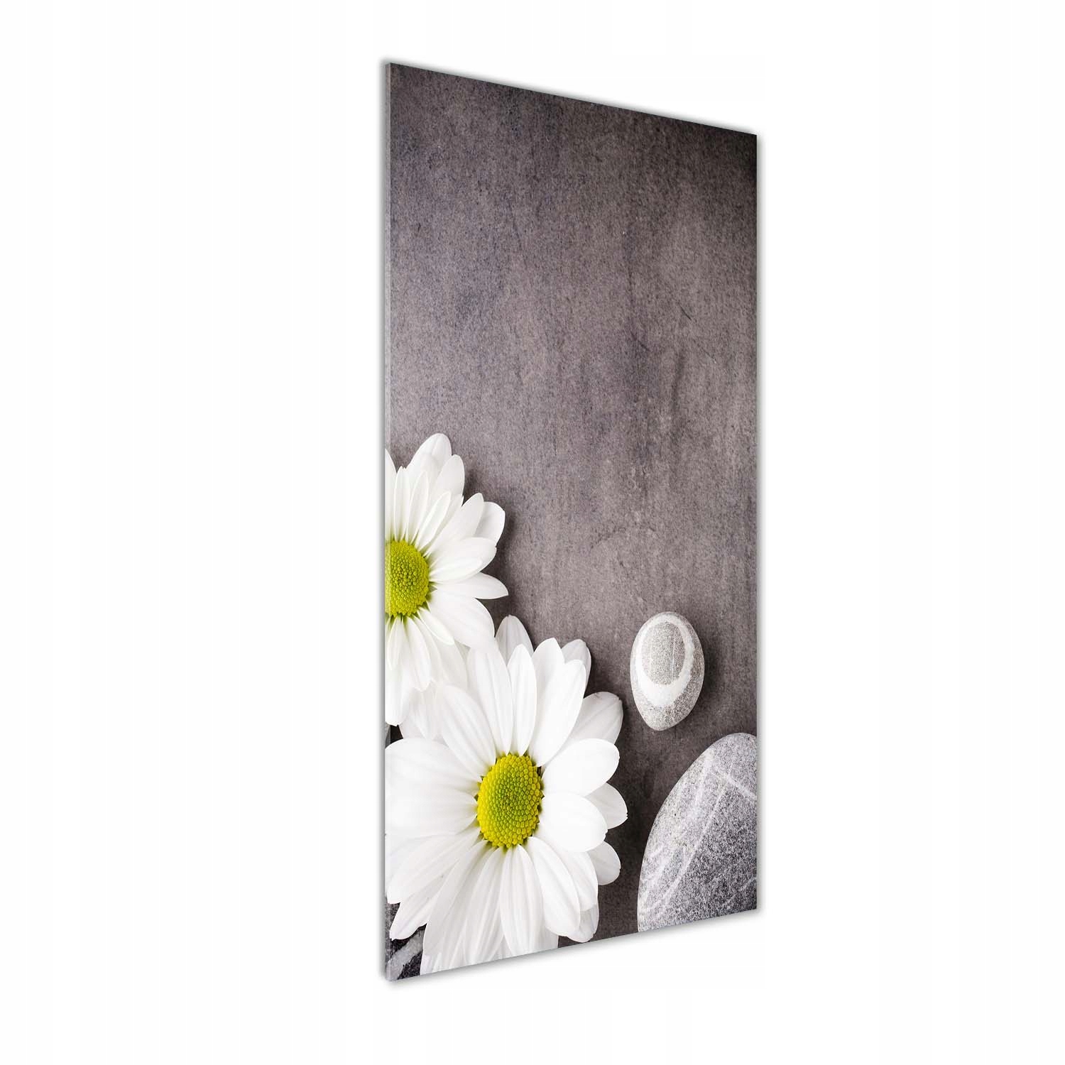 

Foto-obraz zdjęcie na szkle Gerbera 50x125 cm