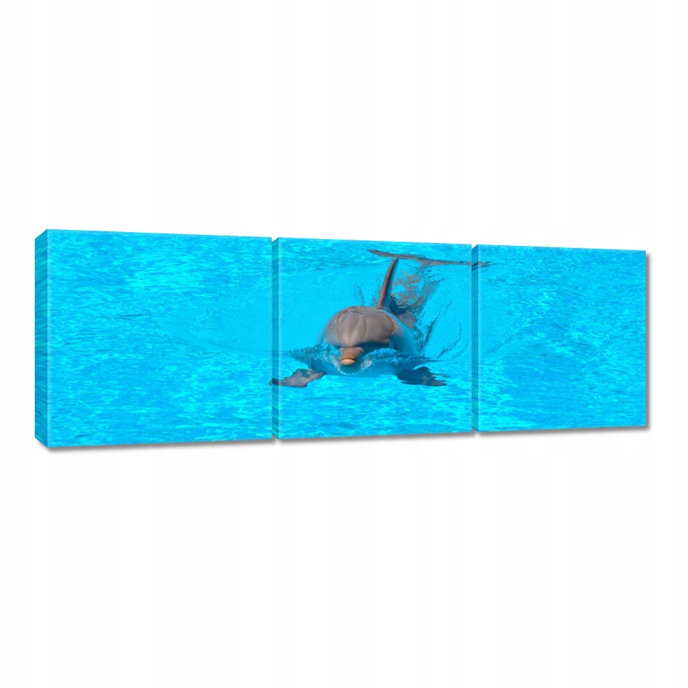 

Obrazy 60x20 Delfin
