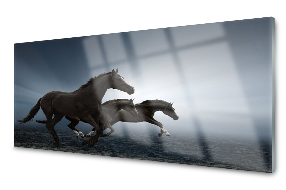 

Panel szklany do kuchni Konie Zwierzęta 125x50