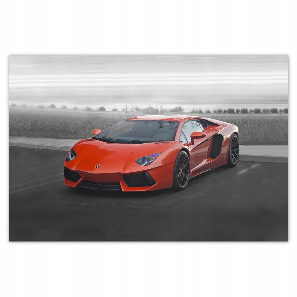 

Plakat 93x62 Sporotwe auto