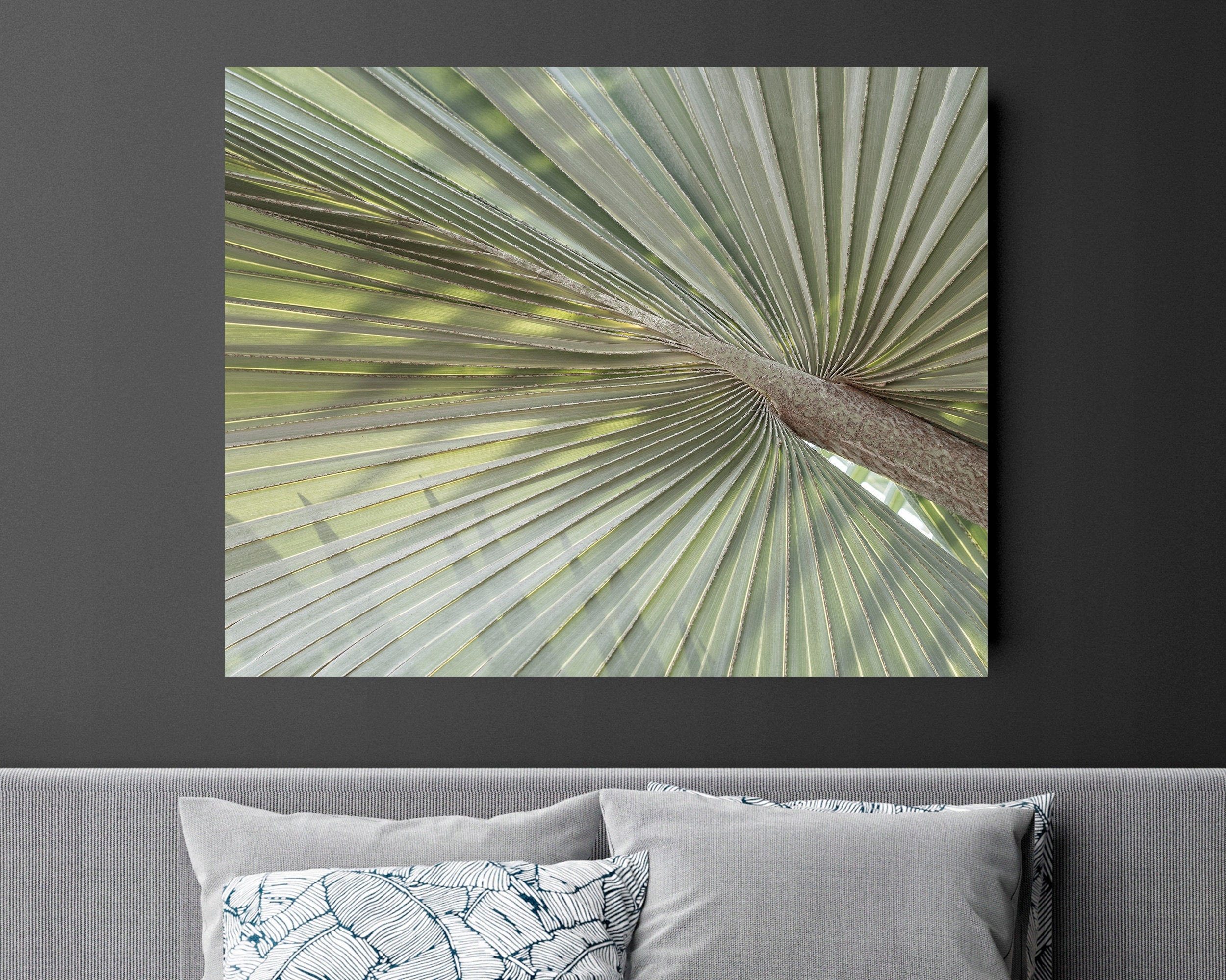 

Palma Drukowany plakat Obraz 1 Częśc 80x80 cm