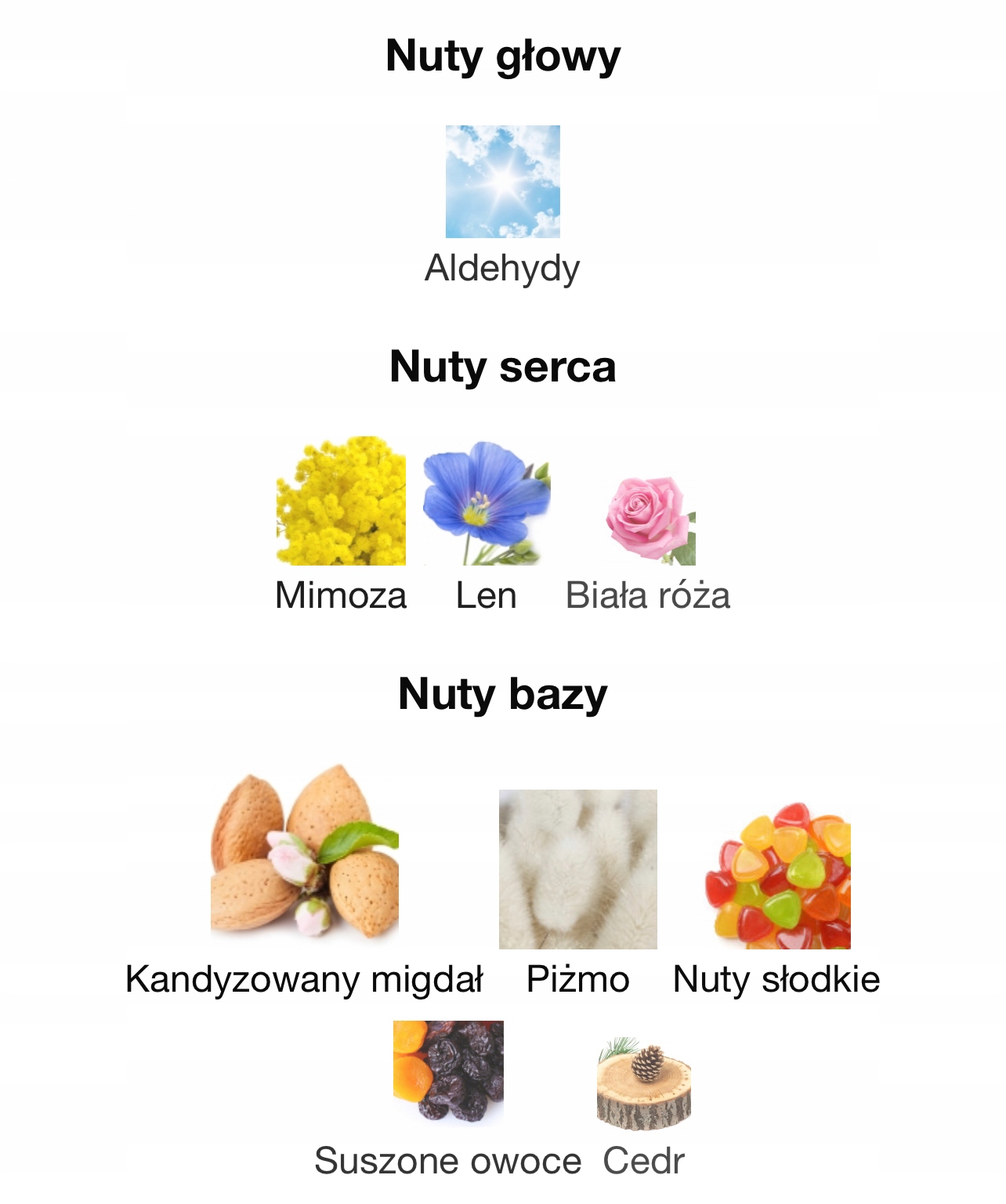 The Different Company Pure Eve 100 ml WAWA MARRIOTT Marka The Different Company