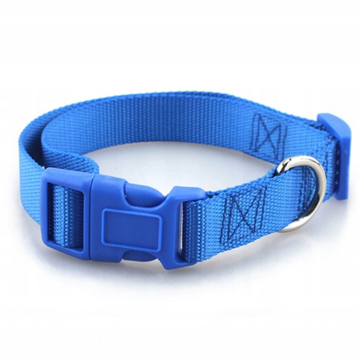 

Obroża Taśmowa 25mm Dla Psa Regulacja 40-60cm XL