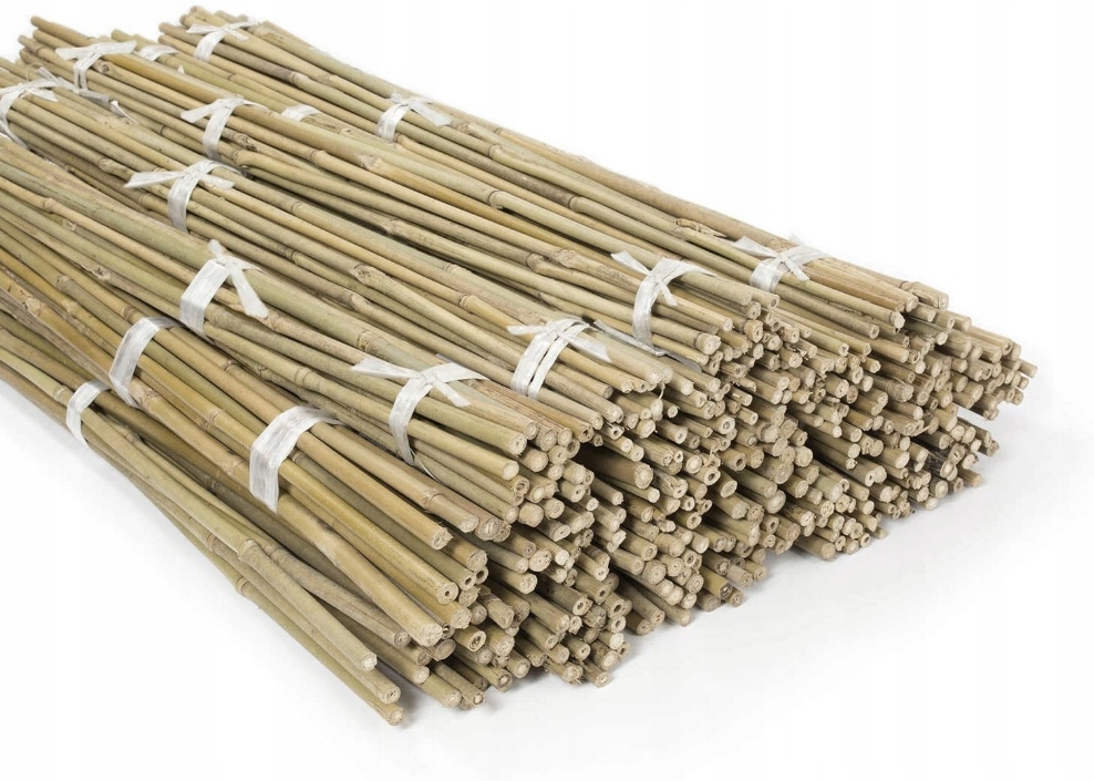 

Tyczka Bambusowa Podpora Palik 90cm 8-10 mm 50szt.