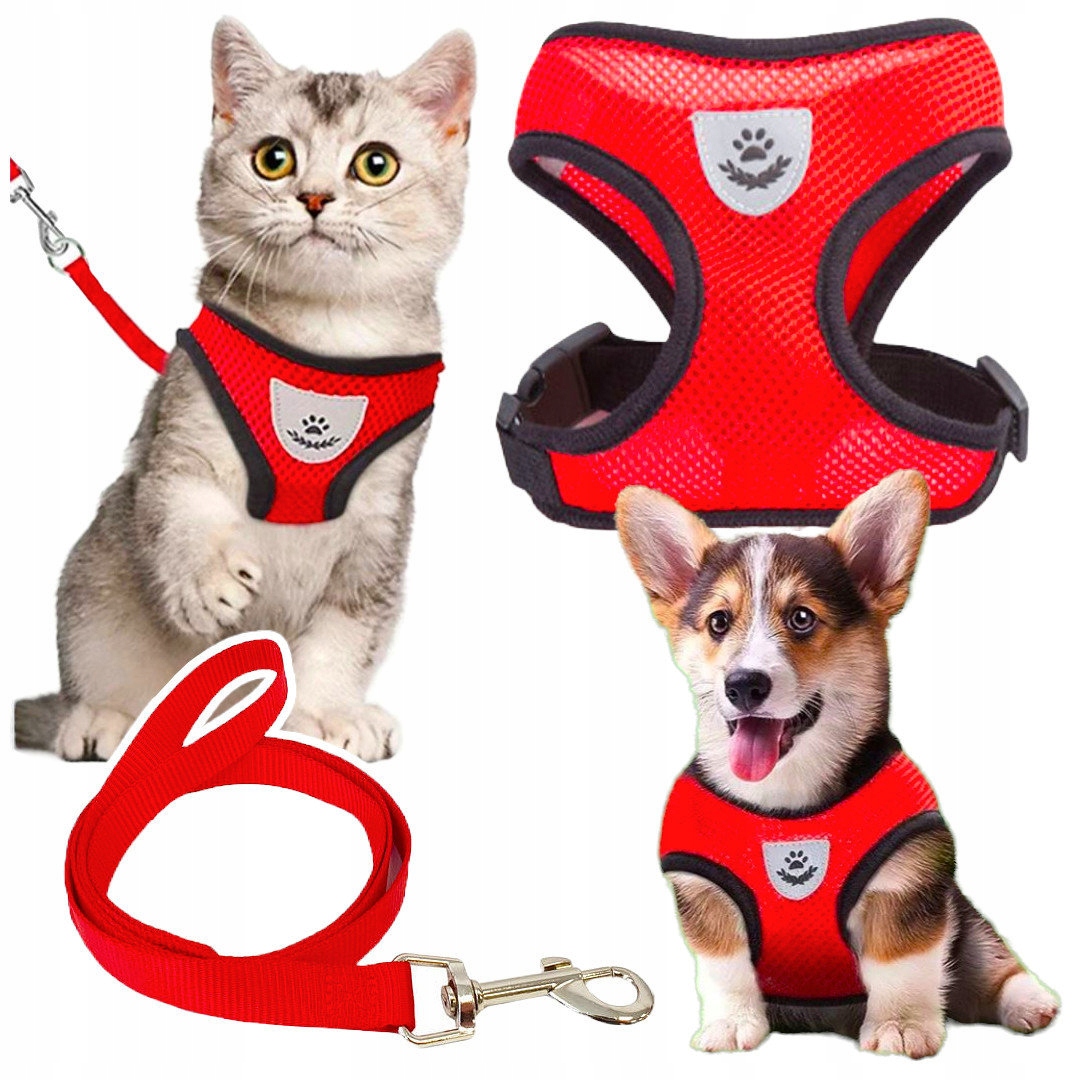 

Komplet Oddychające Szelki Smycz Dla Psa Psów L