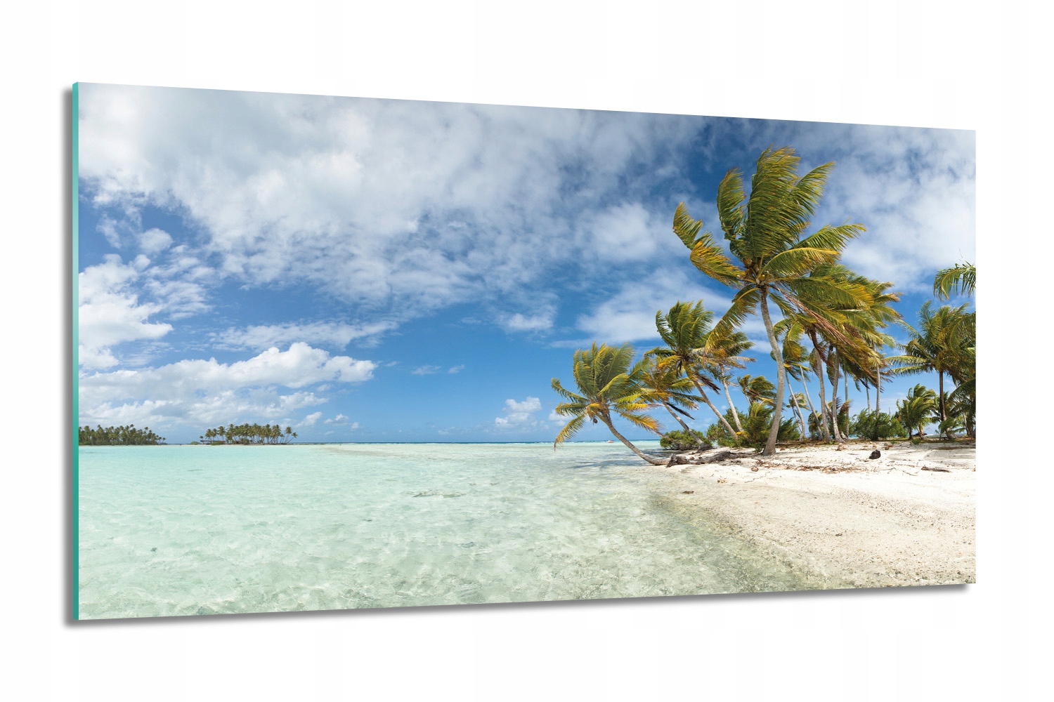 Panorama pláž palmy Foto skleněná grafika 100x60