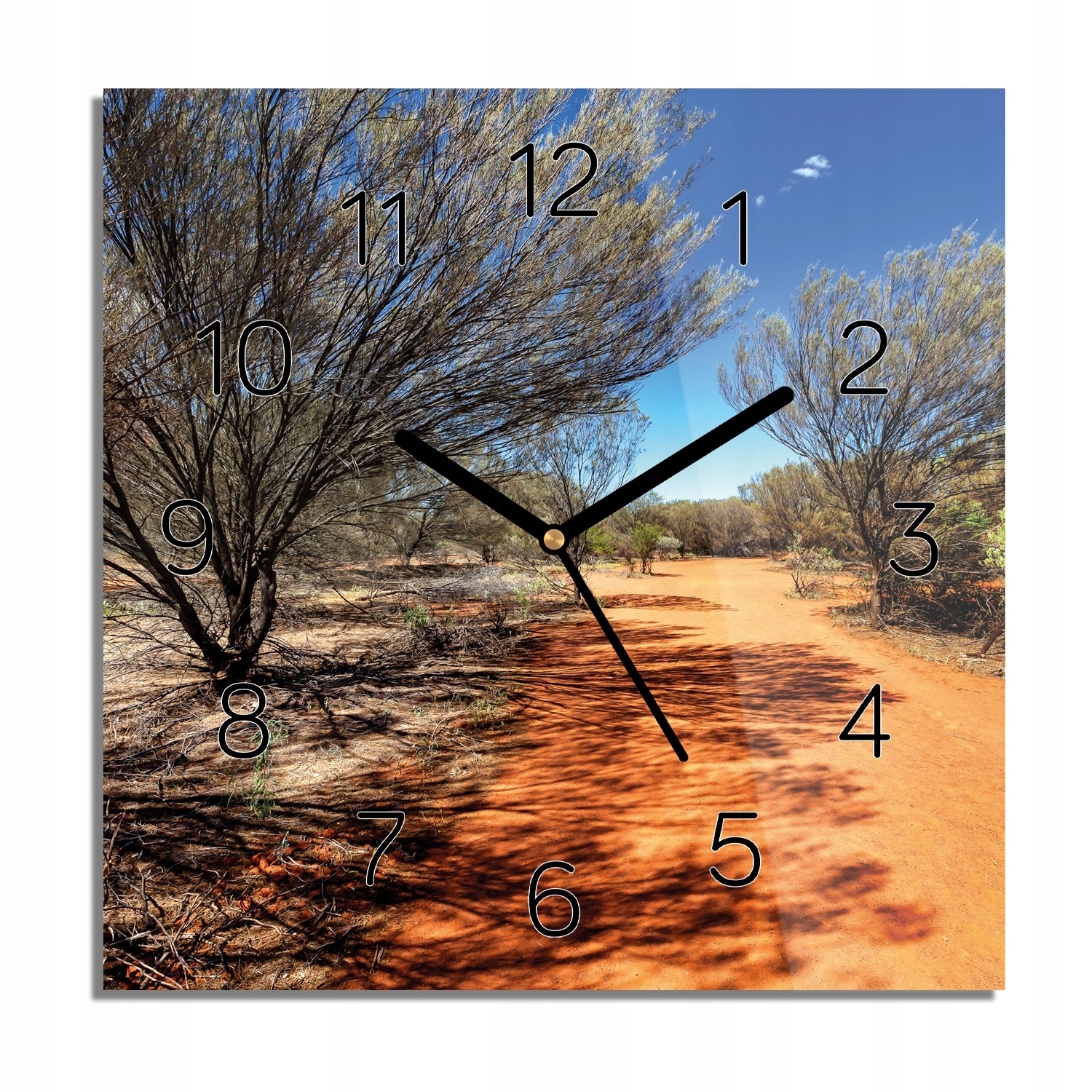 

Drzewa droga Australia zegar na szkle 30x30 z foto