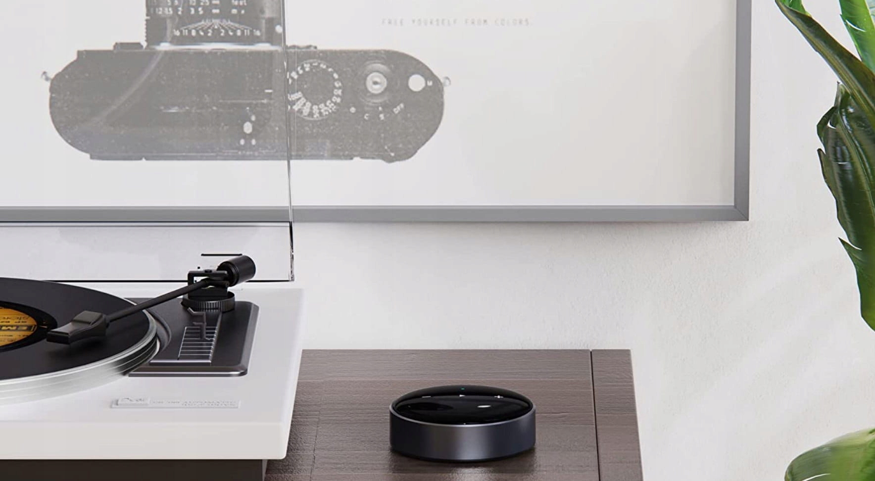 Odtwarzacz sieciowy WiiM Mini Model Mini