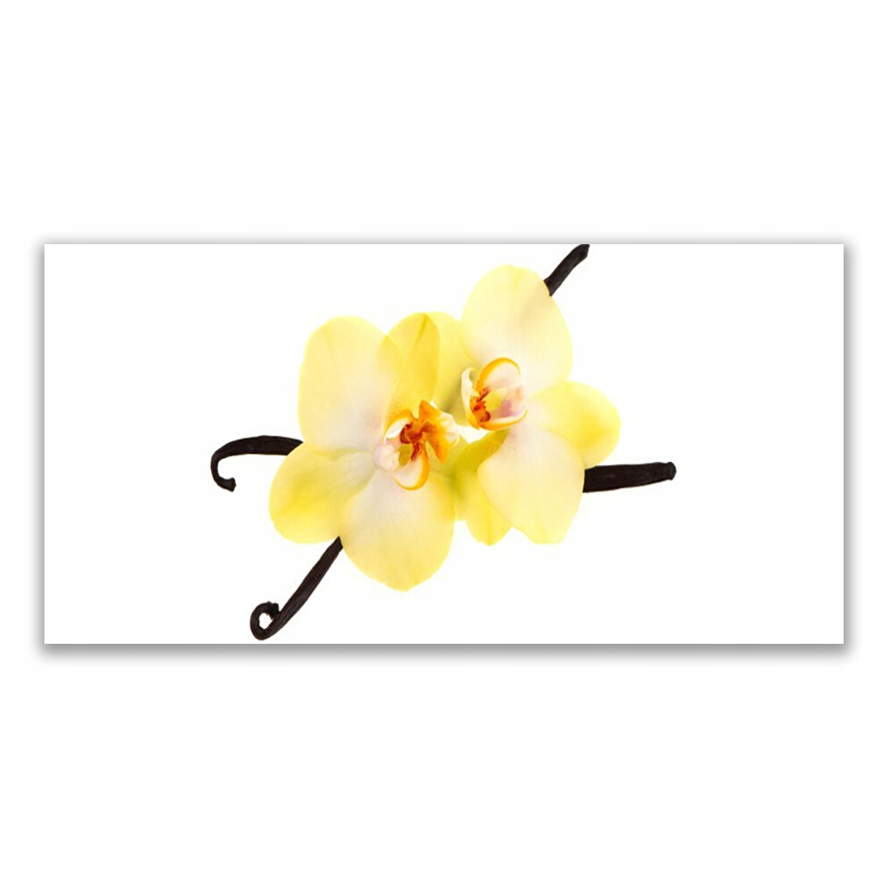 

Obraz akryl wiszący 140x70 Kwiaty Roślina Natura