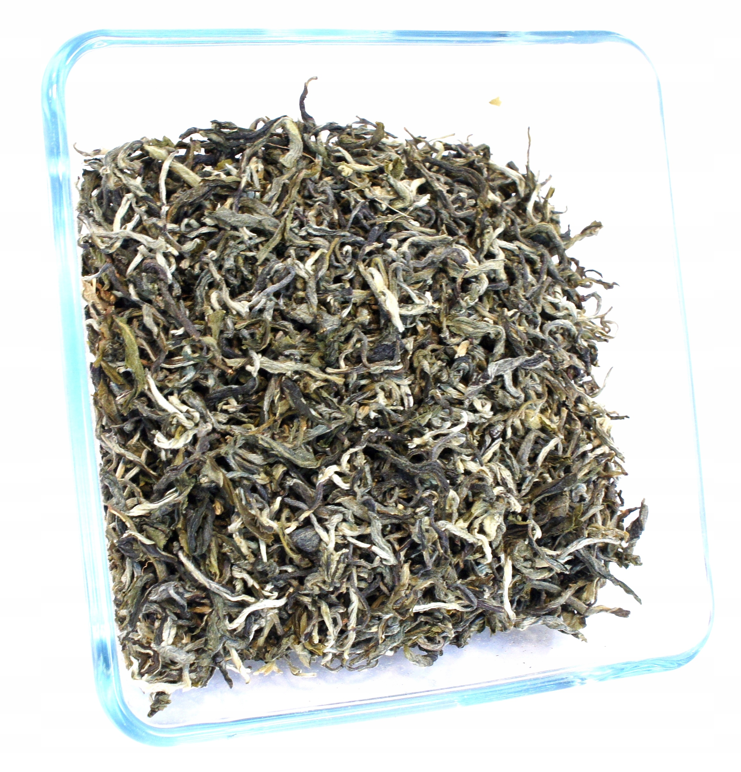 Skvělý bílý čaj White Tea King Mao Feng 1 kg