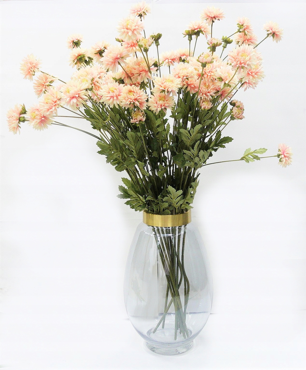 

Pan Kwiatek- kwiat polny gałązka kwiaty astry