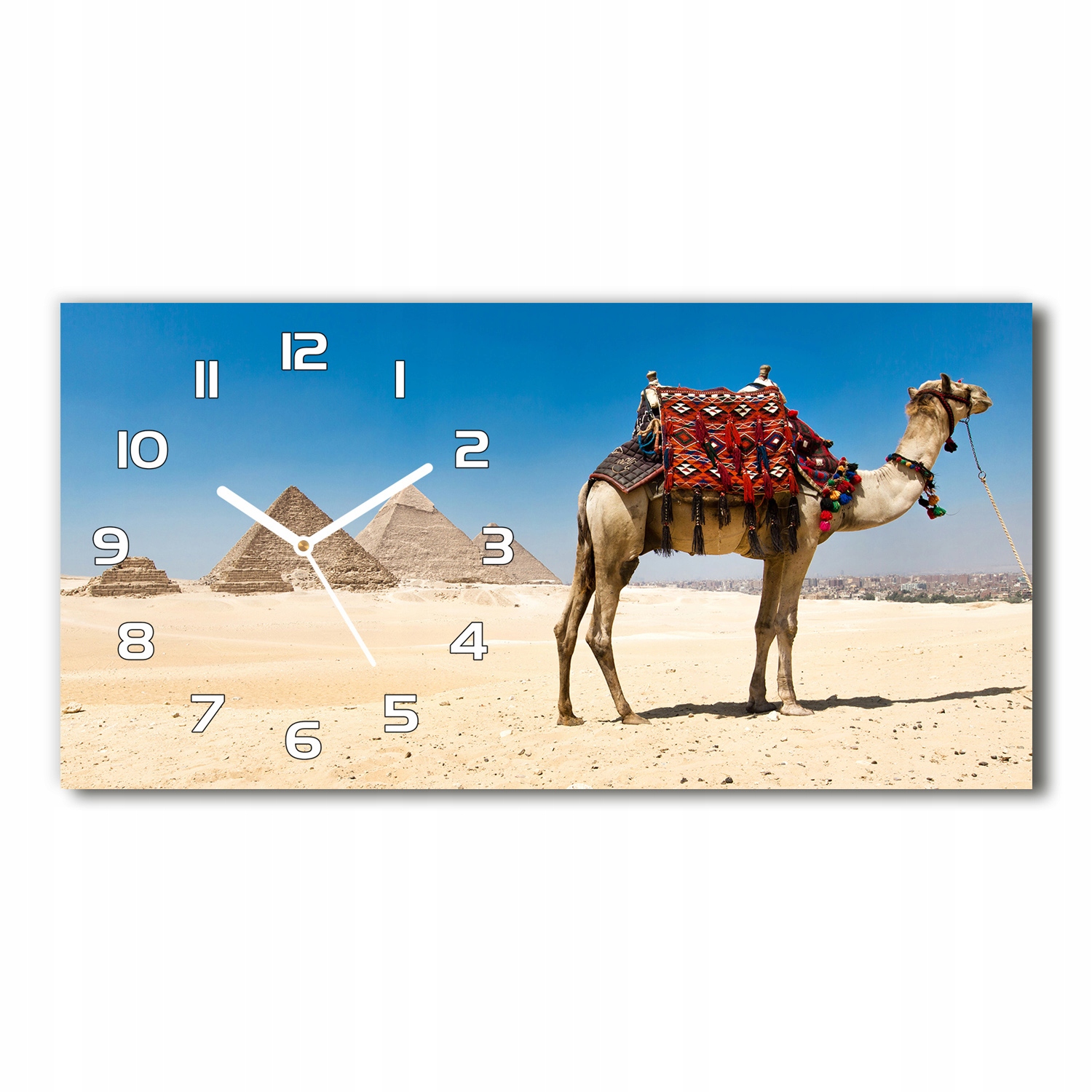 Nástenné sklenené hodiny Camel v Káhire 60x30 cm