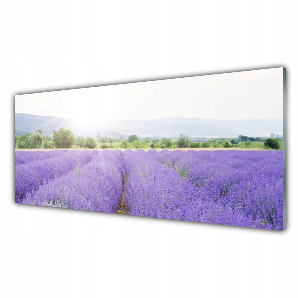 

Fotoobraz ścienny 125x50 Pole Lawendy Natura Łąka