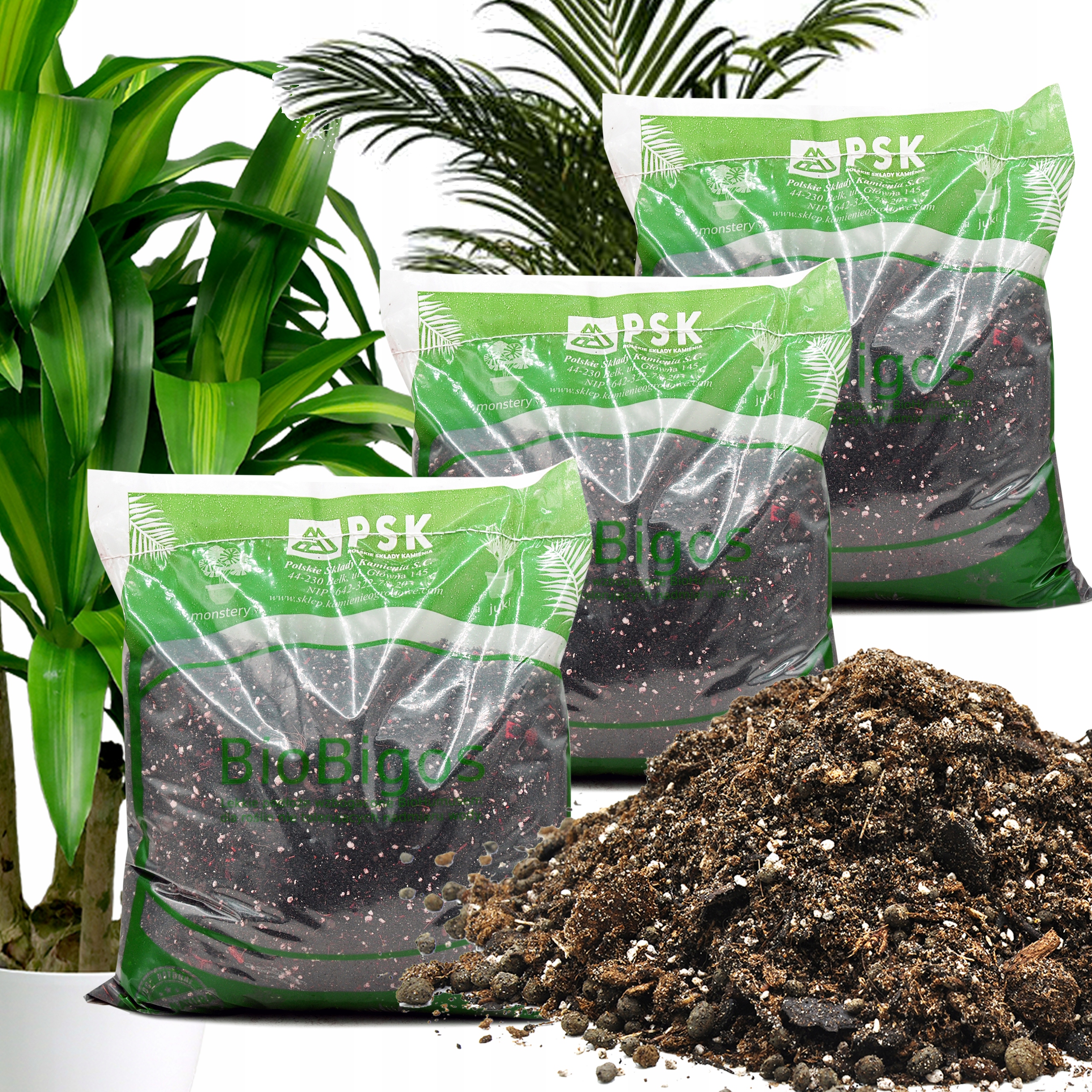 

Bigos Przepuszczalna Ziemia Filodendron Palma 15L