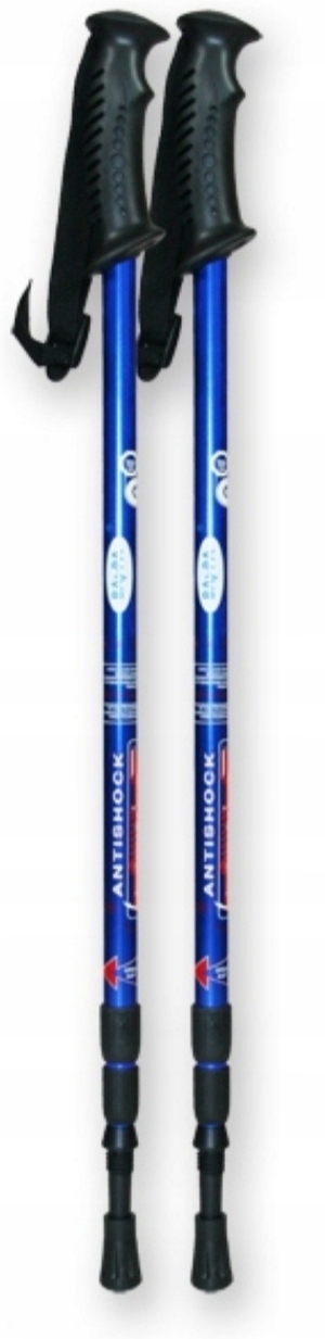 KIJKI NORDIC WALKING DO CHODZENIA TELESKOPOWE*MEGA ZESTAW KOLORY Liczba segmentów 3