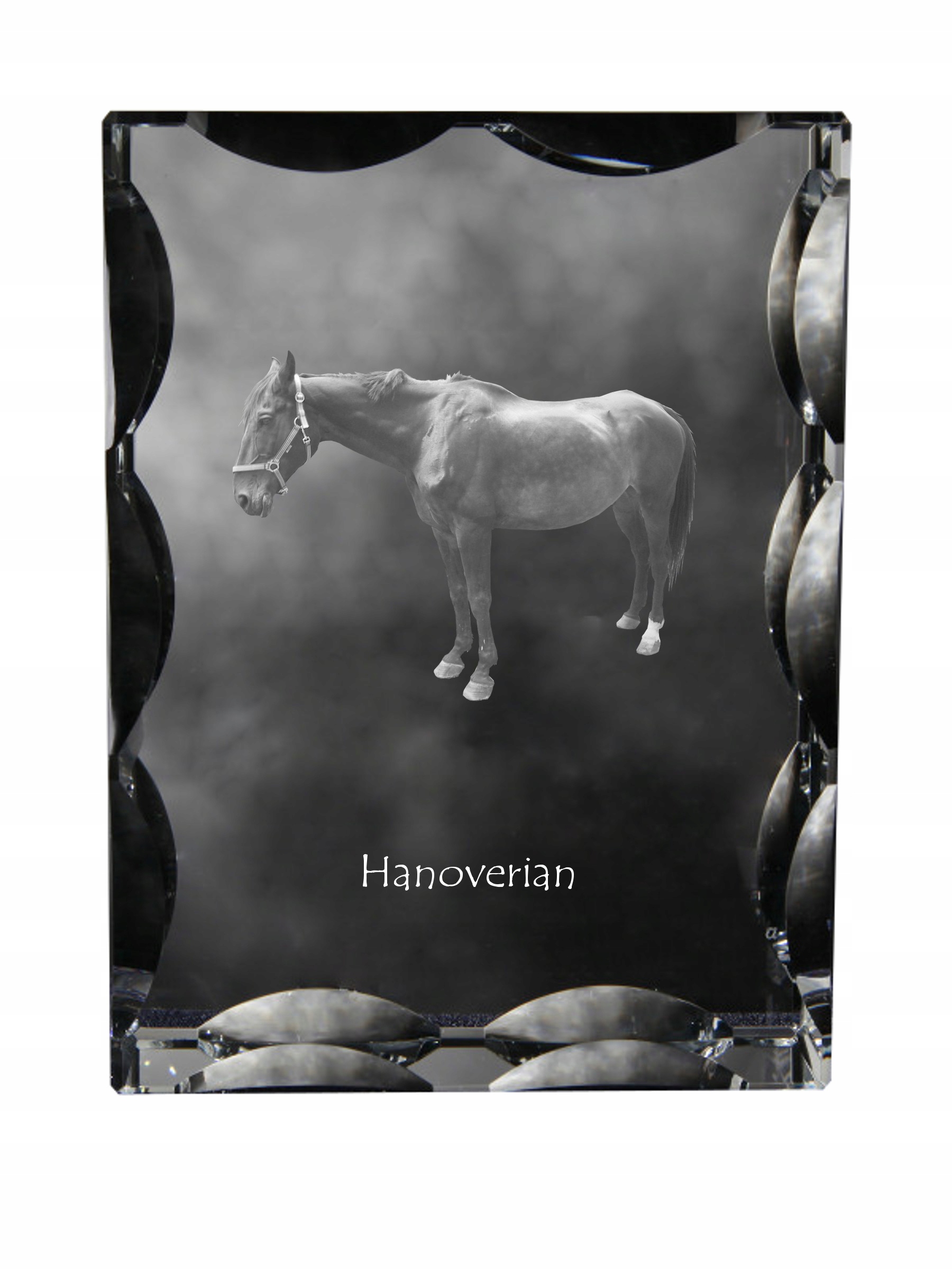 Hanoverský kôň fotografia v ozdobnom kryštáli, suvenír, dekorácia domu