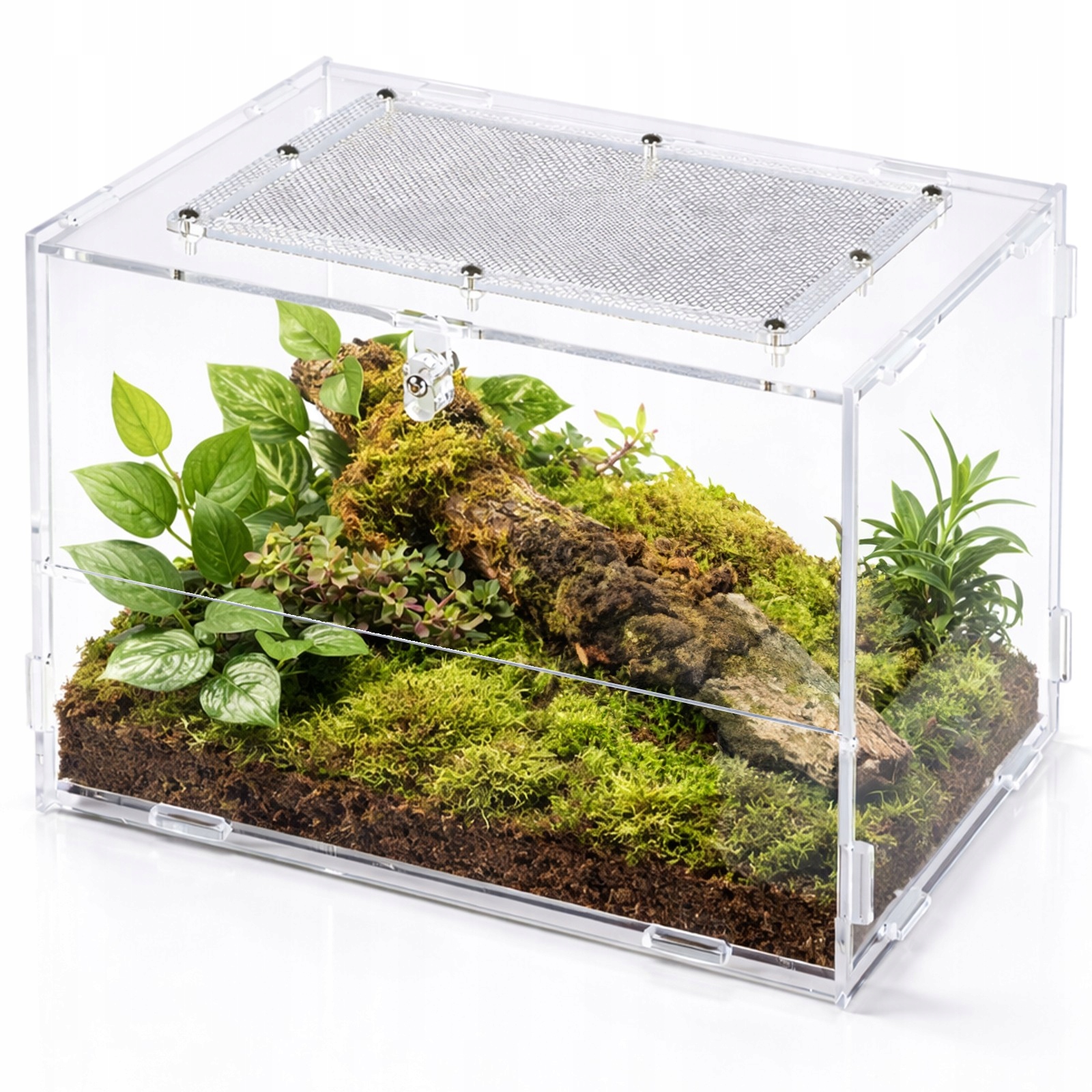 Mini Terrarium Na Biurko Dla Skakunów Owadów Akrylowe Lekkie Dla Owadów