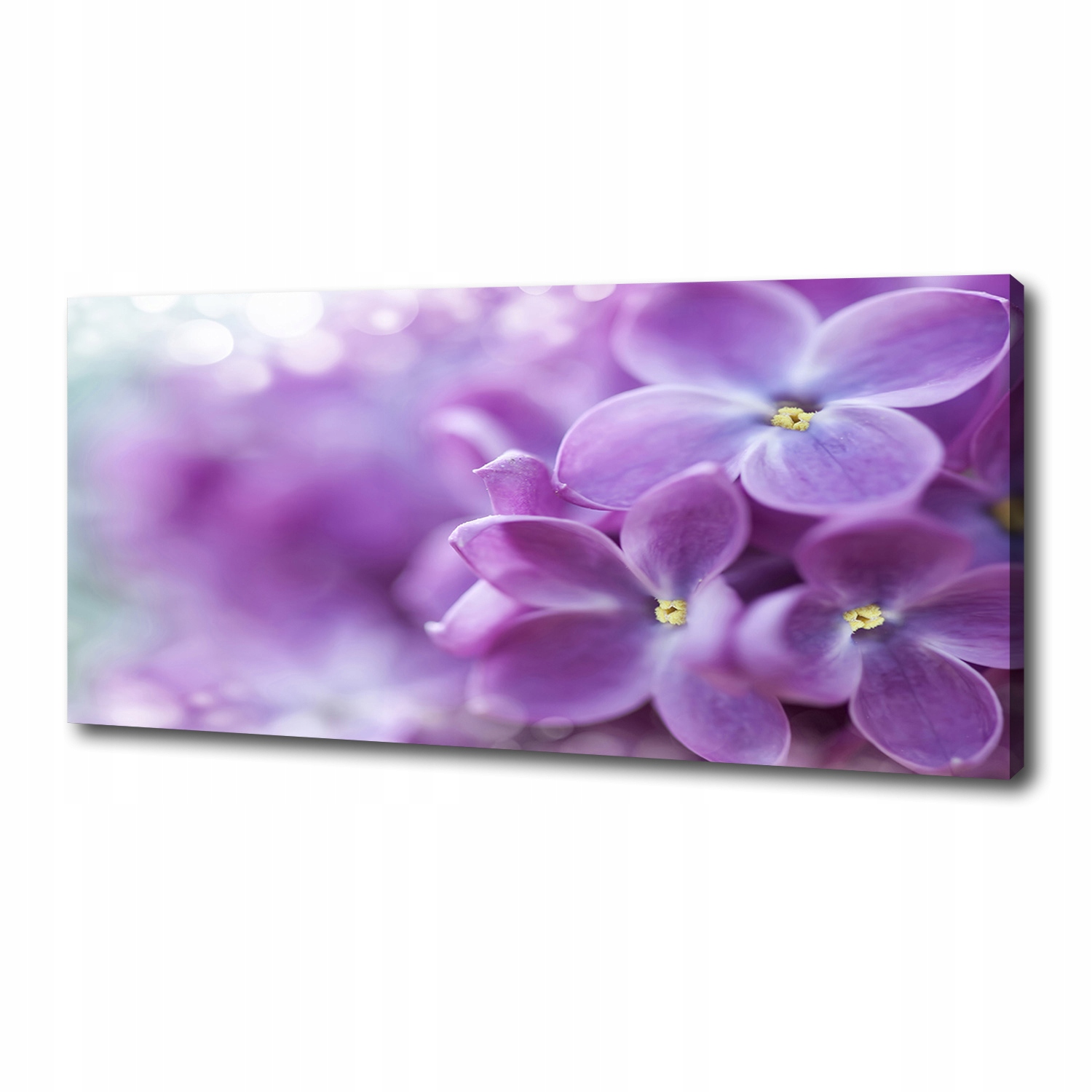 

Foto obraz canvas na ścianę Kwiaty bzu 125x50 cm