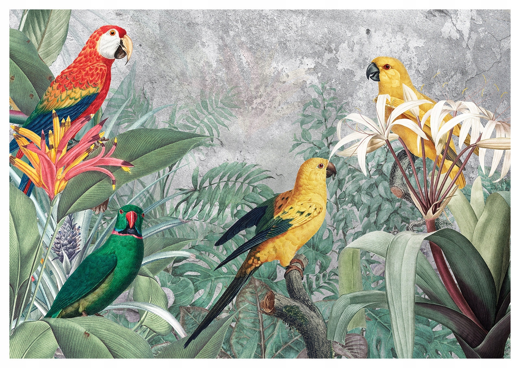 Vliesová fototapeta Tropické papoušky, exotický ráj 520x318 lepidlo