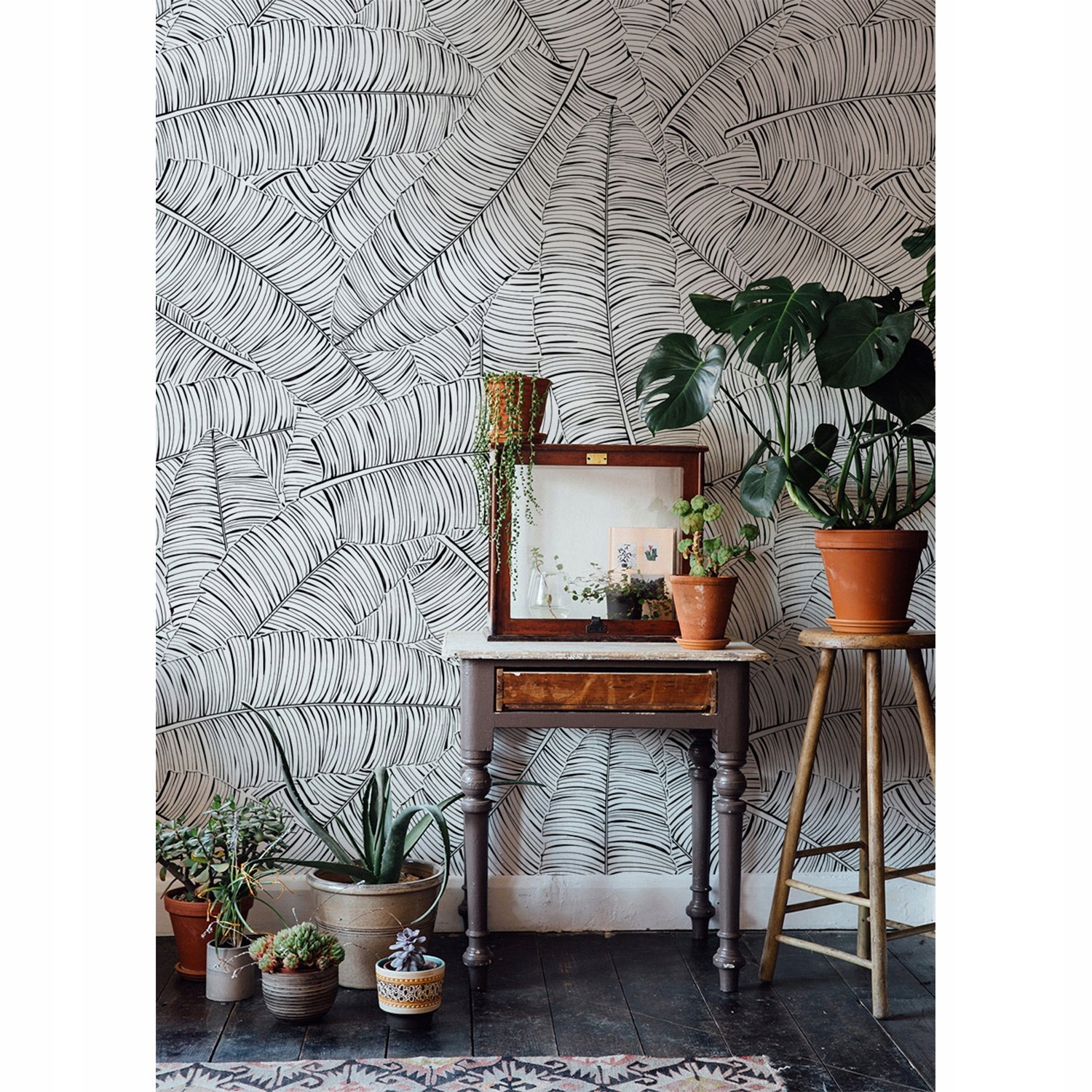 

Tapeta flizelina Liście banana tropikalny 208x146