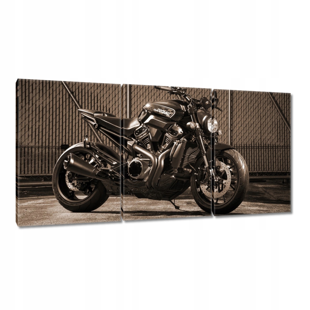 

Obrazy 120x60 Harley Davidson Motocykl