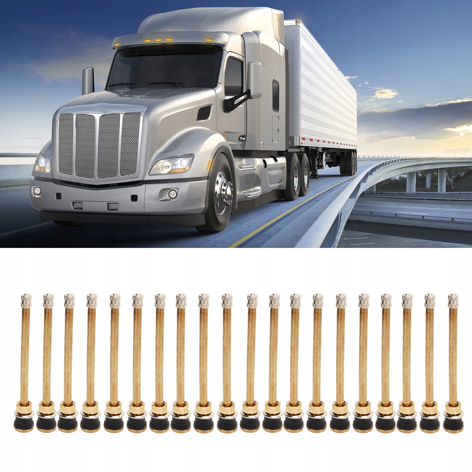 PROSTE TRZPIENIE ZAWORÓW DO SAMOCHODÓW CIĘŻAROWYCH DO OPON BEZDĘTKOWYCH EAN (GTIN) 4038846487750