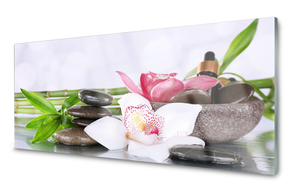 

Panel szklany do kuchni Storczyk Bambus 125x50