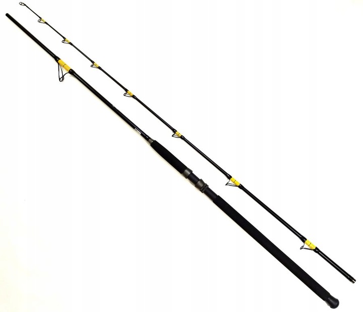 Wędka sumowa CAT FISH PASSION PRO 3 m C.W. 300-600G