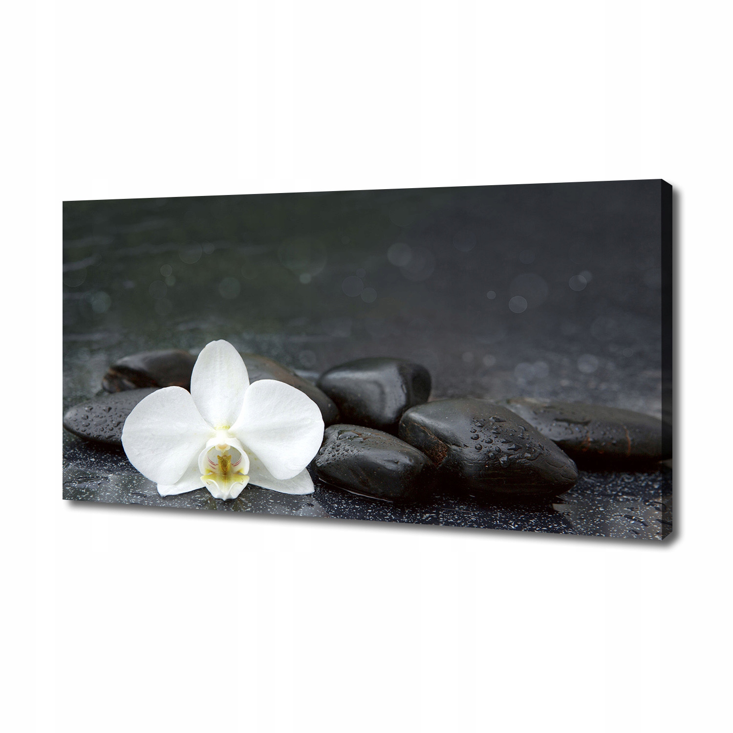 

Foto obraz canvas na ścianę Orchidea 140x70 cm