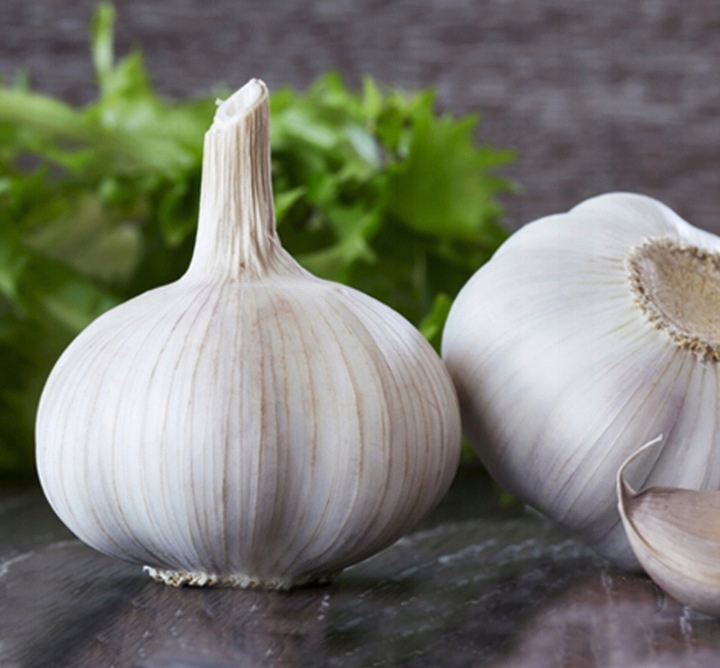 Czosnek Wiosenny Jarus 250g