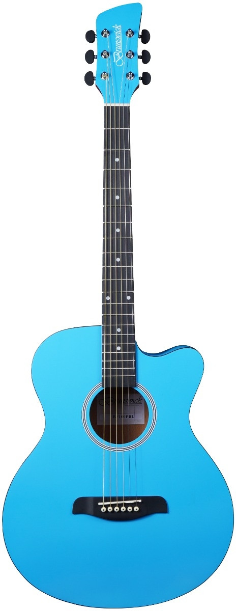Brunswick Ga BF100SBL