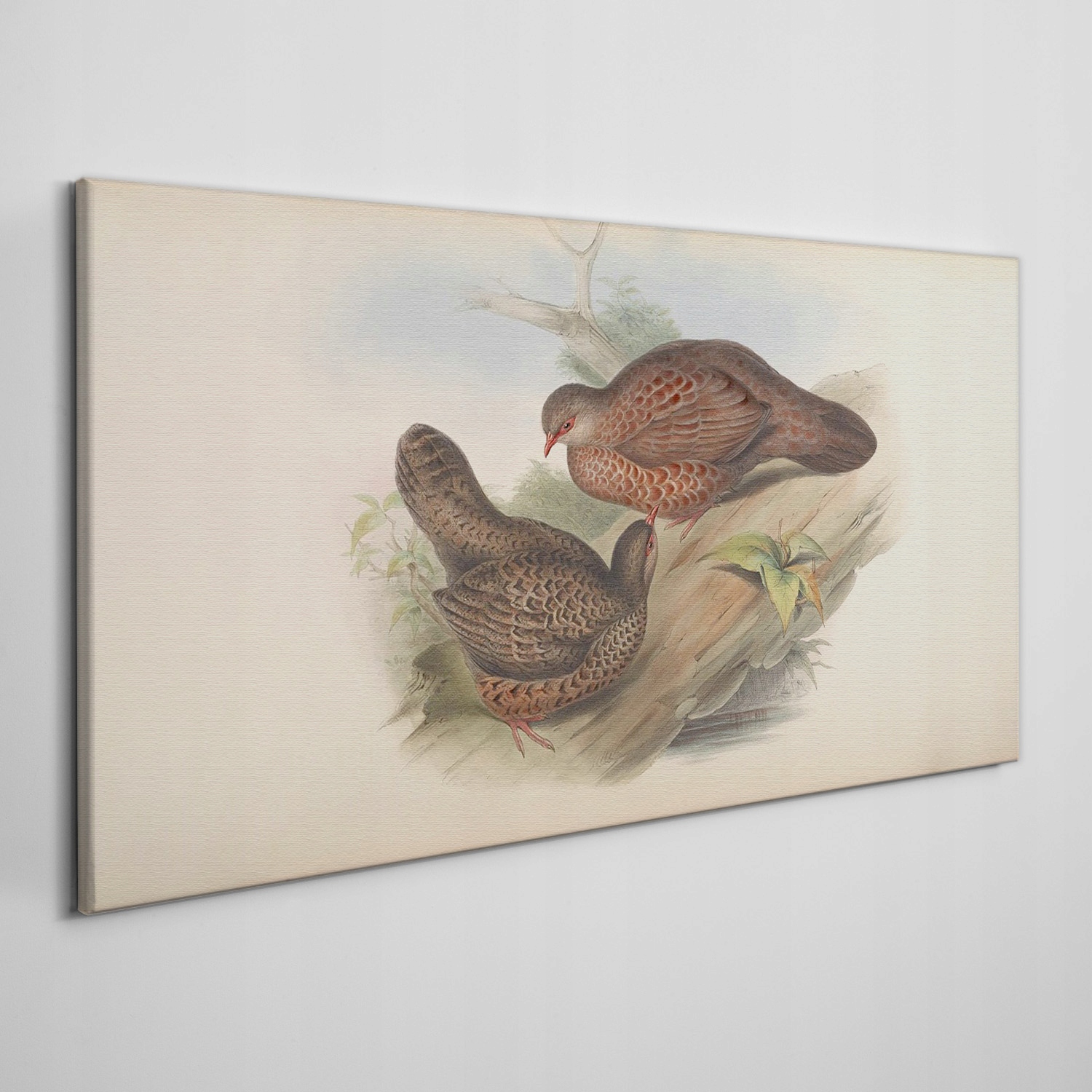 

Obraz na płótnie Ptaki zwierzęta beżowy 120x60 cm